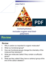 Day 1 SBI4U Carbohydrates