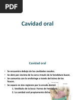 14 Cavidad Oral