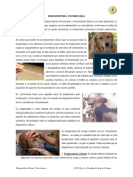 Termometría Veterinaria