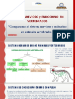 Semana8 SESIÓN1 20-09 - 2021 Relación Nervioso en Animales