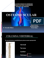 Osteomuscular Oficial