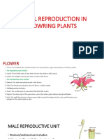 Sexual Reproduction in Flowring Plants