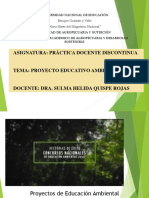 Proyecto Ambiental