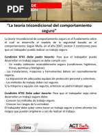 06-05-2023 Rij Teoria Tricondicional Del Comportamiento Seguro