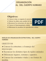 Niveles de Organización Estructural Del Cuerpo Humano