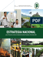 Documento Estrategia