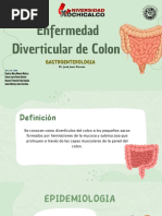 Enfermedad Diverticular Colon