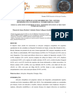 20801-Texto Do Artigo-54288-1-2-20211018