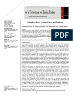 Stingless Bees in Sunflower Pollination: Hemanth Kumar R, Srinivasa Reddy KM, Shishira D and Eshwarappa G