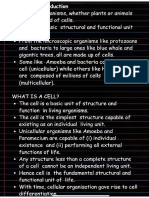 Intro Cell Theory Notes