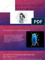 Procesos de Fecundación en Los Seres Humanos