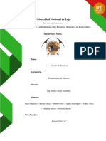 Trabajo Grupal Calculo de Reservas