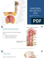 Anatomia Recto y Ano