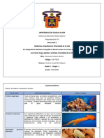 Los Reinos Fungi, Plantae y Animalia (Organizador Gráfico) .