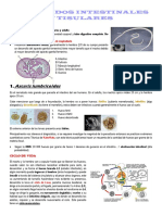 s9 - Nemátodos Intestinales y Tisulares