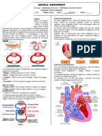 Sistema Circulatório 2023
