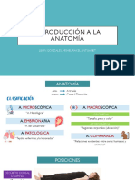 01 Introducción A La Anatomía y Fisiología