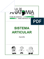 NOVA APOSTILA - Sistema Articular