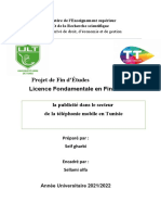 Rapport Pfe Seif Gahrbi