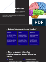 Cuadrantes-Cerebrales (1) Compressed