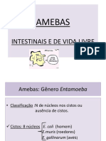 Amebas