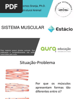 Aula 07 - Sistema Muscular