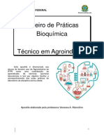 ROTEIRO Bioquímica