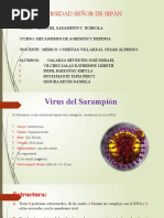 G9 - Virus de Sarampión y Rubeola