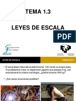 1.3-Leyes de Escala