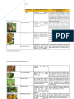 Actividad 14. Tabla de Plantas Medicinales de Tabasco