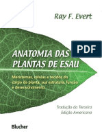 Anatomia Das Plantas de Esau