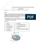 Exercise # 1 - The Cell