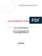 Anatomie de L'estomac