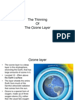 The Ozone Layer