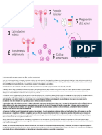 La Fecundación in Vitro Cumple 40 Años