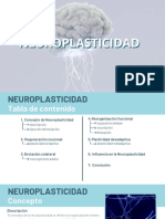 Neuroplasticidad 2