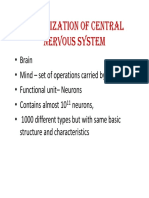 Central Nervous System