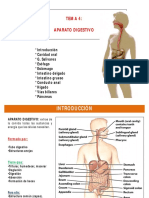 Tema 4-Digestivo Apuntes