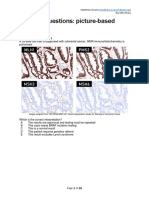 FRCPath+picture-based+questions (1)