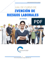 Prev Riesgos Laborales 60h