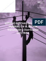 155 - Brechas Capital Humano Transmisión y Distribución Eléctrica