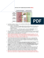 SGD 23 - Immunology 3