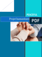 Projet Peaceful