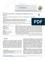 Molecular Mechanisms of Autophagy and Implications in Liver Disease