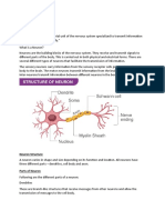 Nervous System