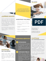 Folleto Brochure de Servicios Empresa Profesional Amarillo