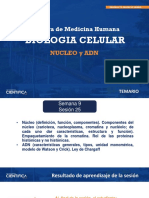 Biología Celular Núcleo 9 16