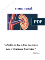 UD 11 Sistema Rena