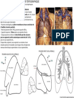 Poumon Anatomie Topographique PR PDF