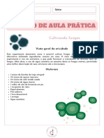 (GRATUITO) ROTEIRO DE AULA PRÁTICA - Cultivando Fungos